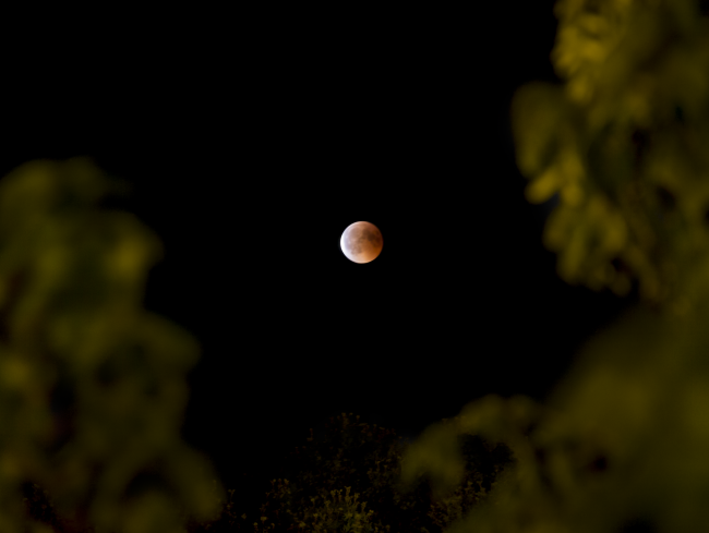 Lunar Eclipse Roma, Night Photography